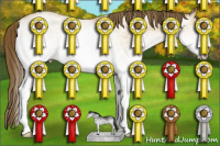 Horse Color:Gray White Spotted Smoky Black Pearl 