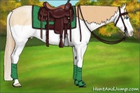 Horse Color:Smoky Black Pearl Splash 