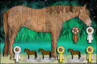 Horse Color:Gray Classic Cream Champagne Splash Frame  Brindle
