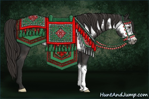 Horse Color: Liver Chestnut Frame 