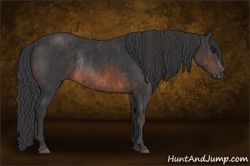Horse Color: Brown Rabicano  Brindle