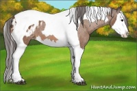 Horse Color:Bay Splash Tobiano Blanket  Brindle