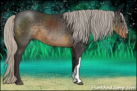 Horse Color:Silver Smoky Black Rabicano