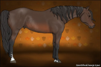 Horse Color:Brown Sabino Rabicano