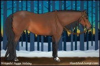 Horse Color:Bay Sabino 