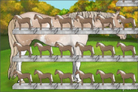 Horse Color:White Spotted Liver Chestnut Pearl Mushroom