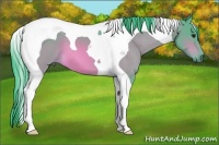 Horse Color:Watercolor Bay Tobiano 