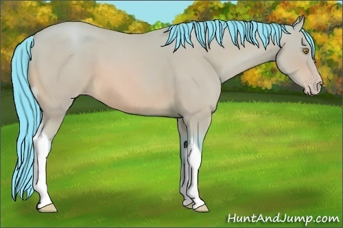 Horse Color: Watercolor Amber Champagne Tobiano 