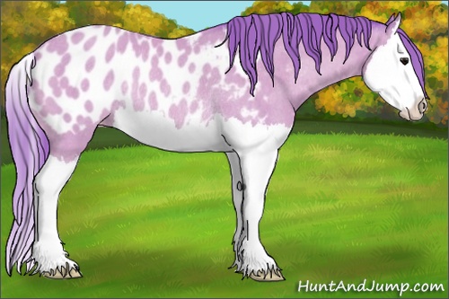 Horse Color: Watercolor Buckskin Splash Blanket Rabicano 