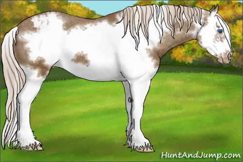 Horse Color: Chocolate Palomino Splash Frame Varnish 