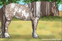 Horse Color:White Spotted Classic Champagne Blanket 