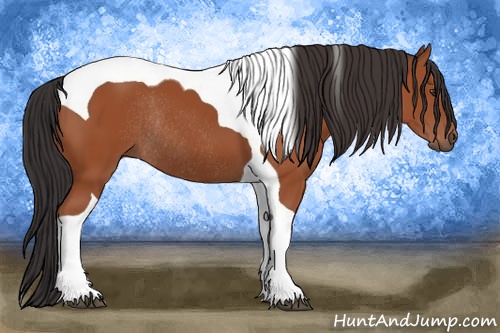 Horse Color: Bay Tobiano Rabicano 