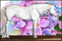 Horse Color:Chocolate Palomino Sabino Splash Blanket 