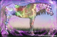 Horse Color:Smoky Black Sabino Splash Appaloosa Rabicano 