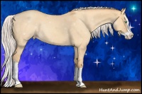 Horse Color:Silver Sable Cream Champagne Dun Splash 
