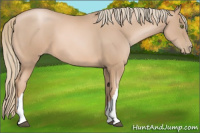Horse Color:Liver Chestnut Pearl Mushroom 