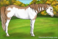 Horse Color:Chestnut Splash Frame 