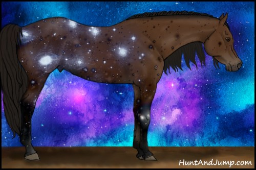 Horse Color: ERROR: UNKNOWN ANOMALY