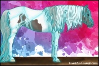 Horse Color:Thunderstruck Silver Black Tobiano 