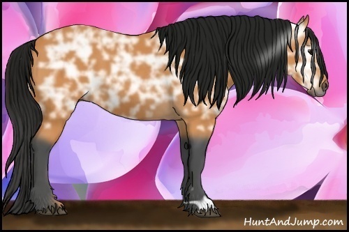 Horse Color:Gray Buckskin Ice 