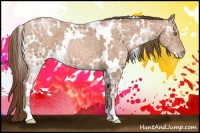 Horse Color:White Spotted Bay Ice Pearl 