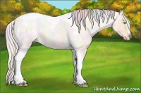 Horse Color:Nacre Silver Amber Champagne Roan Dun Splash Tobiano Frame Varnish Rabicano 