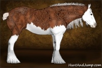 Horse Color:Silver Bay Ice Splash 