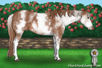 Horse Color:White Spotted Liver Chestnut 