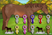 Horse Color:Liver Chestnut 