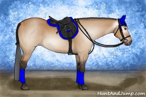 Horse Color:Gray Bay Dun