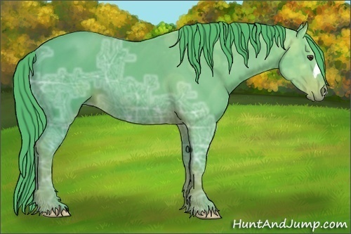 Horse Color: Watercolor Liver Chestnut Ice 