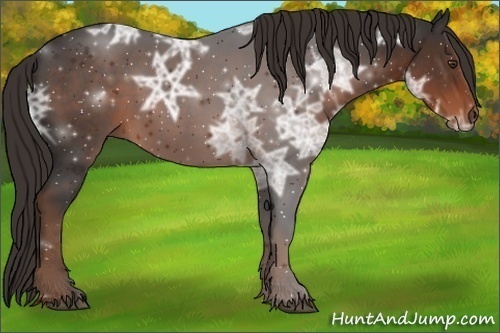 Horse Color: Liver Chestnut Ice 