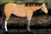 Horse Color:ERROR: UNKNOWN ANOMALY