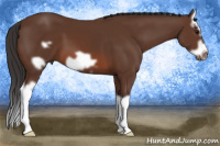 Horse Color:Bay Splash Frame 