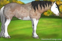 Horse Color:Brown Ice Roan Splash Rabicano 