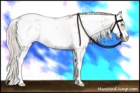 Horse Color:Silver Grullo Pearl Sabino 