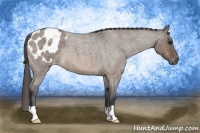 Horse Color:Brown Roan Dun Varnish 