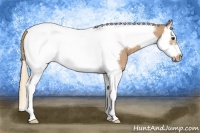 Horse Color:Red Roan Splash Tobiano Frame Appaloosa 