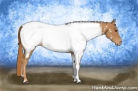Horse Color:Chestnut Tobiano Near Fewspot 