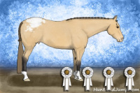 Horse Color:Buckskin Appaloosa