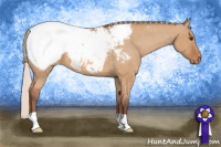 Horse Color:Silver Bay Dun Snowcap 