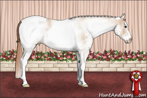 Horse Color: White Spotted Red Dun Roan Blanket 