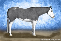 Horse Color:Blue Roan Sabino Splash Varnish 