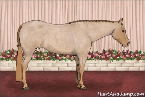 Horse Color: Red Roan Varnish 