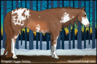 Horse Color:Chestnut Sabino Appaloosa 