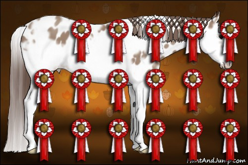 Horse Color: White Spotted Classic Champagne Splash Frame Near Leopard 