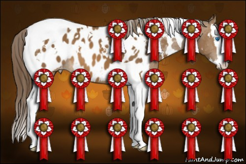 Horse Color: White Spotted Buckskin Splash Tobiano Blanket 