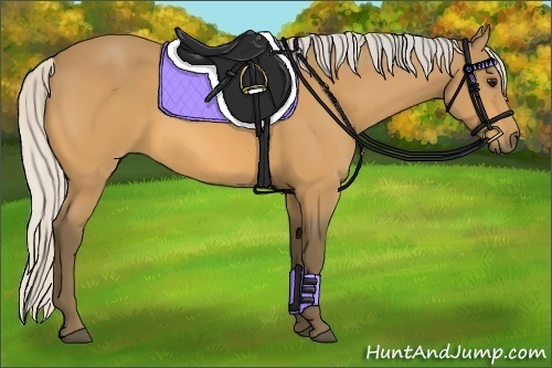 Horse Color:Silver Buckskin 