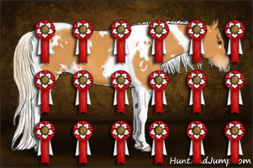 Horse Color: White Spotted Chocolate Palomino Tobiano 