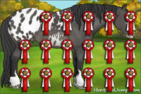 Horse Color:Black Sabino Appaloosa